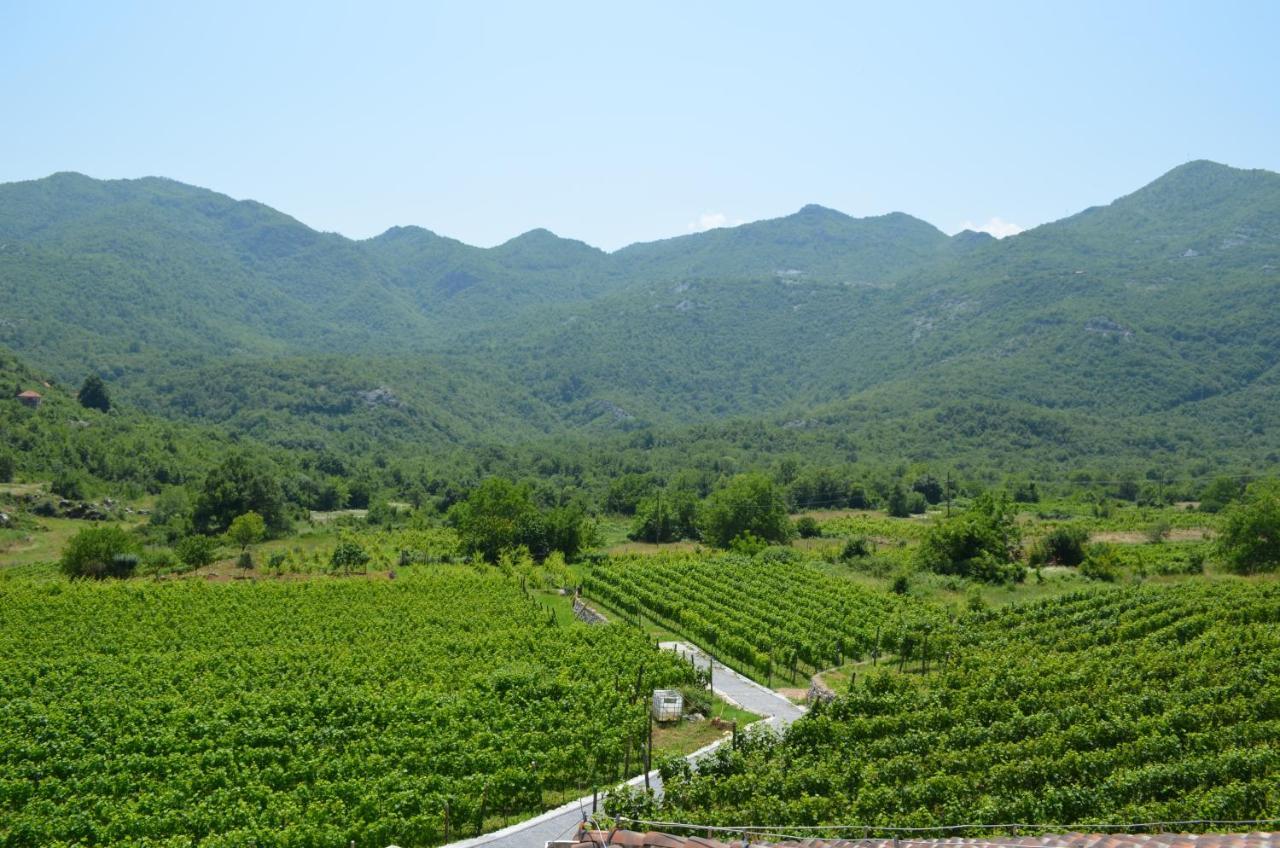 Markovic Winery And Estate Apartments Cetinje Buitenkant foto