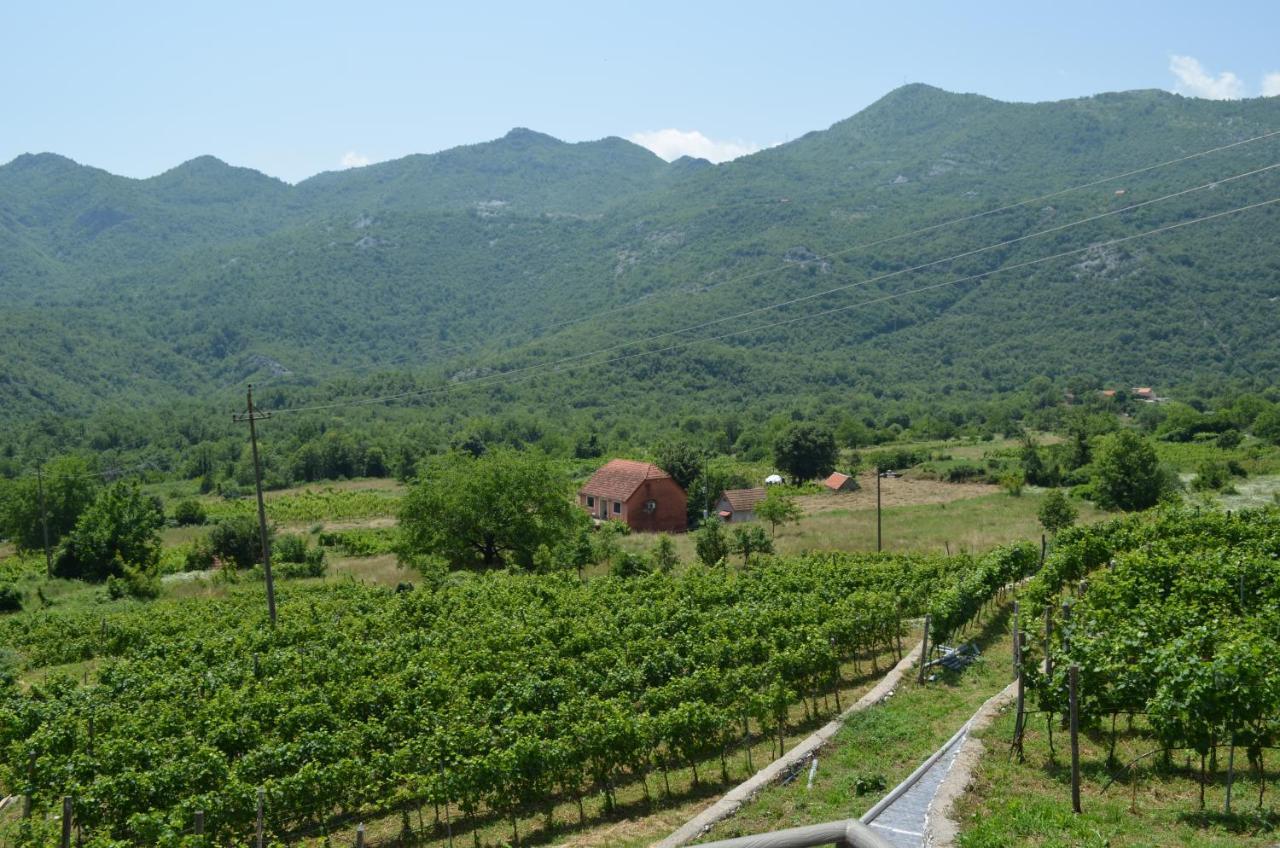 Markovic Winery And Estate Apartments Cetinje Buitenkant foto